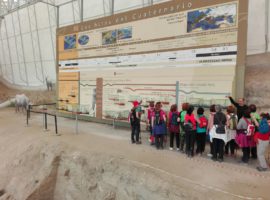 La Estación Paleontológica de Fonelas, último objetivo del programa de senderismo del CMIM